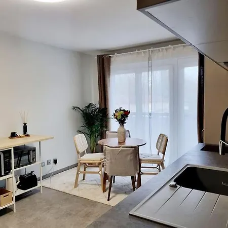 Apartment Le Poete - Confort - Parking Prive - Wifi Gradignan